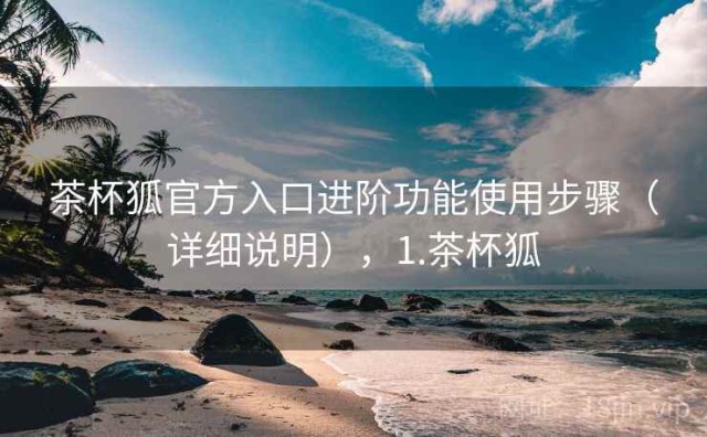 茶杯狐官方入口进阶功能使用步骤（详细说明），1.茶杯狐