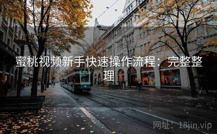 蜜桃视频新手快速操作流程：完整整理