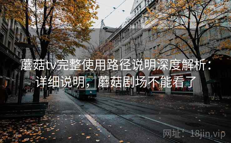 蘑菇tv完整使用路径说明深度解析：详细说明，蘑菇剧场不能看了