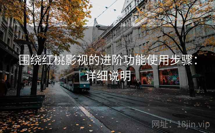围绕红桃影视的进阶功能使用步骤：详细说明