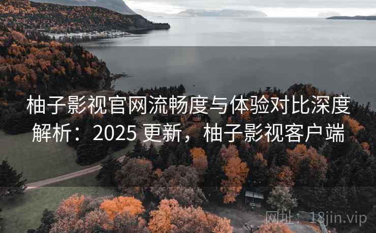柚子影视官网流畅度与体验对比深度解析：2025 更新，柚子影视客户端
